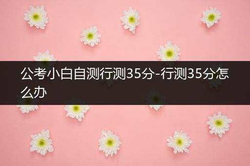 公考小白自测行测35分-行测35分怎么办