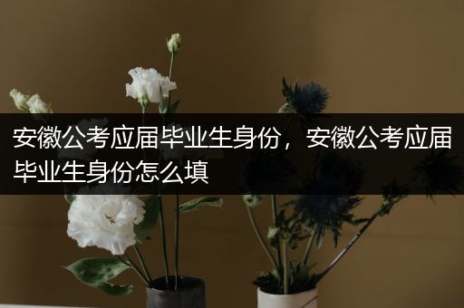安徽公考应届毕业生身份，安徽公考应届毕业生身份怎么填