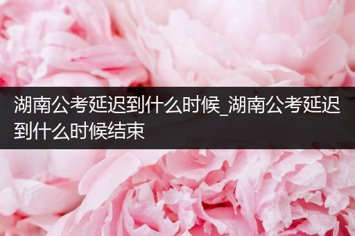 湖南公考延迟到什么时候_湖南公考延迟到什么时候结束