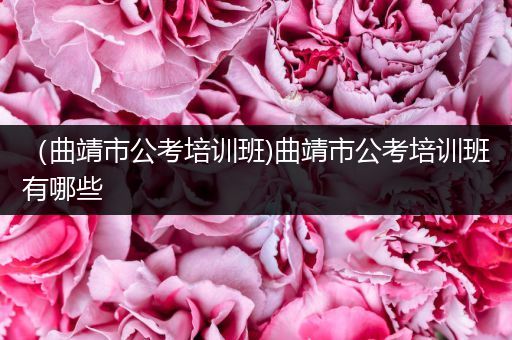 （曲靖市公考培训班)曲靖市公考培训班有哪些