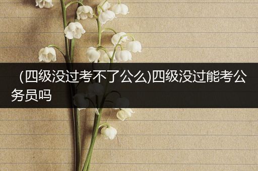 （四级没过考不了公么)四级没过能考公务员吗