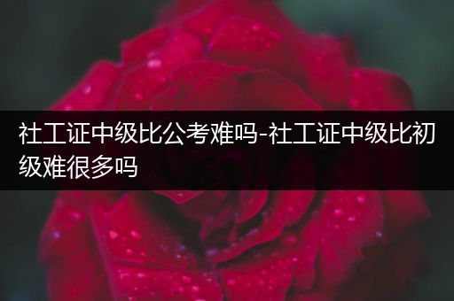社工证中级比公考难吗-社工证中级比初级难很多吗