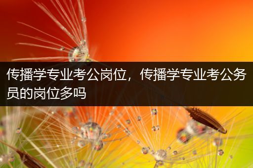 传播学专业考公岗位，传播学专业考公务员的岗位多吗