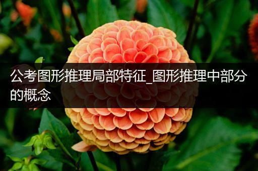 公考图形推理局部特征_图形推理中部分的概念