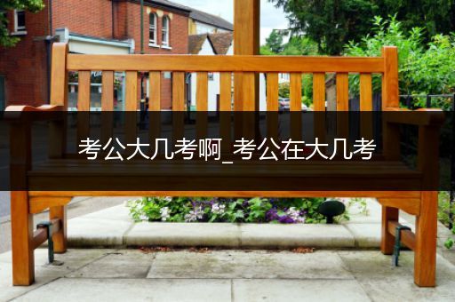 考公大几考啊_考公在大几考