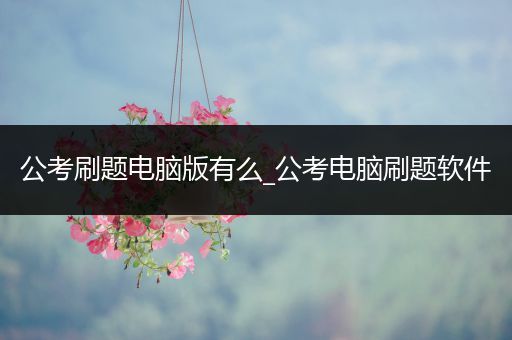 公考刷题电脑版有么_公考电脑刷题软件