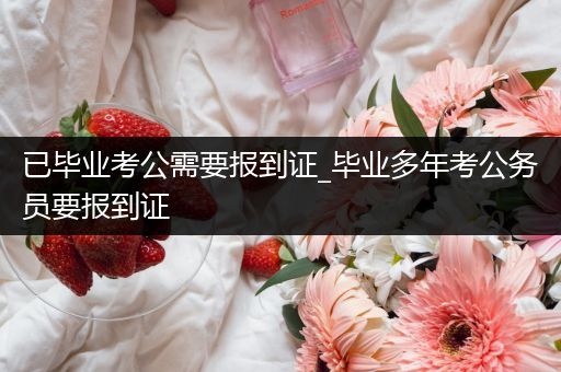已毕业考公需要报到证_毕业多年考公务员要报到证