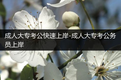 成人大专考公快速上岸-成人大专考公务员上岸