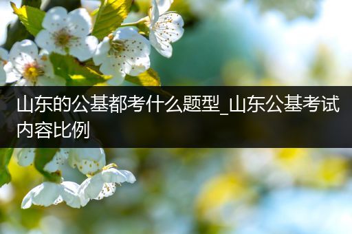 山东的公基都考什么题型_山东公基考试内容比例