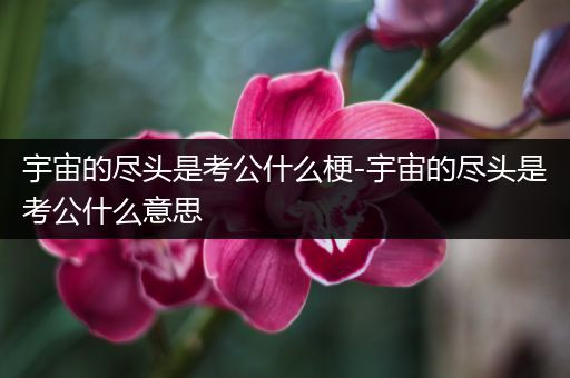 宇宙的尽头是考公什么梗-宇宙的尽头是考公什么意思