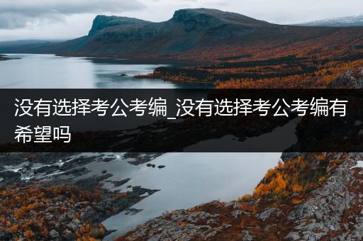 没有选择考公考编_没有选择考公考编有希望吗