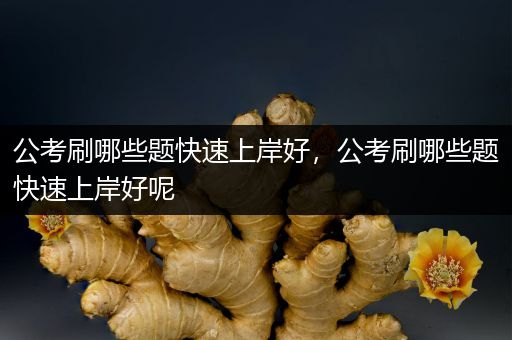 公考刷哪些题快速上岸好，公考刷哪些题快速上岸好呢