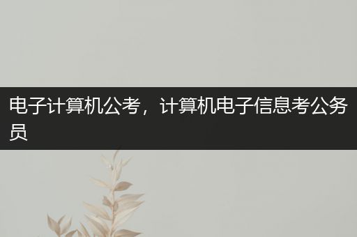 电子计算机公考，计算机电子信息考公务员