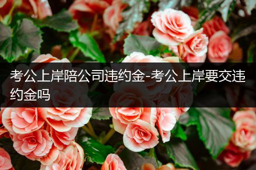 考公上岸陪公司违约金-考公上岸要交违约金吗