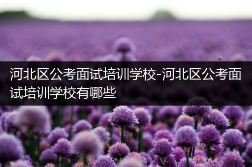 河北区公考面试培训学校-河北区公考面试培训学校有哪些