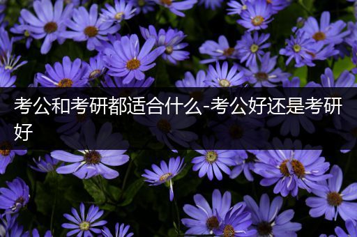 考公和考研都适合什么-考公好还是考研好