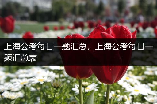 上海公考每日一题汇总，上海公考每日一题汇总表