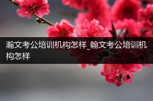 瀚文考公培训机构怎样_翰文考公培训机构怎样