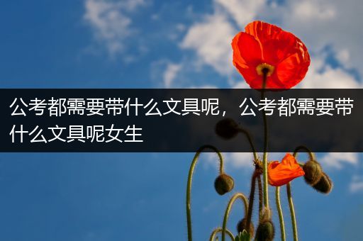 公考都需要带什么文具呢，公考都需要带什么文具呢女生