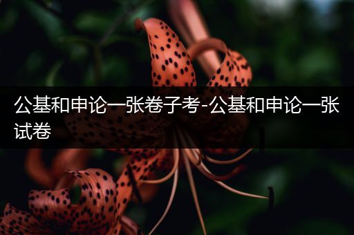 公基和申论一张卷子考-公基和申论一张试卷