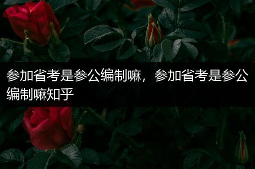 参加省考是参公编制嘛，参加省考是参公编制嘛知乎