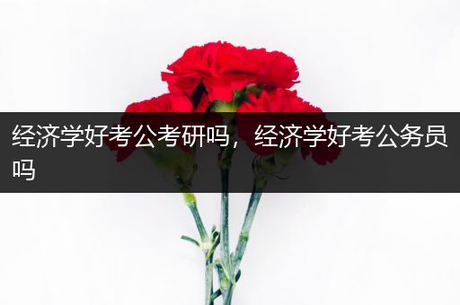 经济学好考公考研吗，经济学好考公务员吗