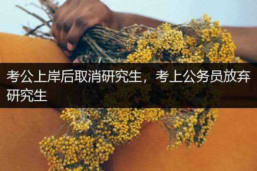 考公上岸后取消研究生，考上公务员放弃研究生