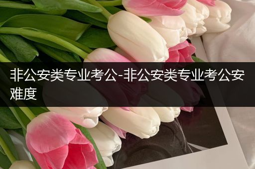 非公安类专业考公-非公安类专业考公安难度