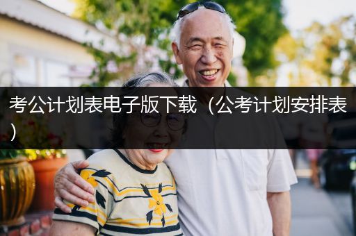 考公计划表电子版下载（公考计划安排表）