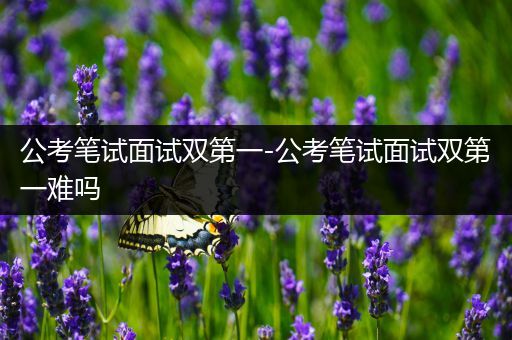公考笔试面试双第一-公考笔试面试双第一难吗