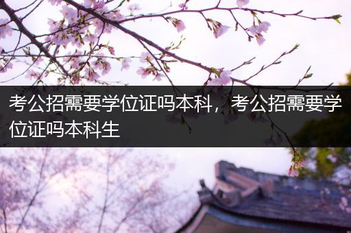 考公招需要学位证吗本科，考公招需要学位证吗本科生