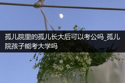 孤儿院里的孤儿长大后可以考公吗_孤儿院孩子能考大学吗