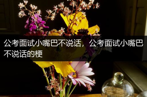 公考面试小嘴巴不说话，公考面试小嘴巴不说话的梗