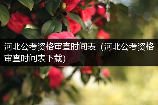 河北公考资格审查时间表（河北公考资格审查时间表下载）