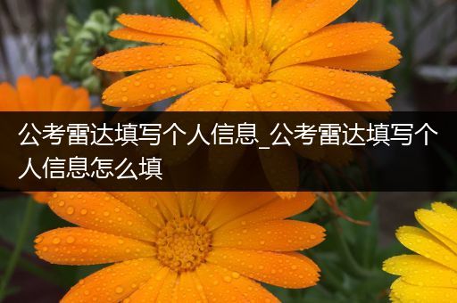 公考雷达填写个人信息_公考雷达填写个人信息怎么填