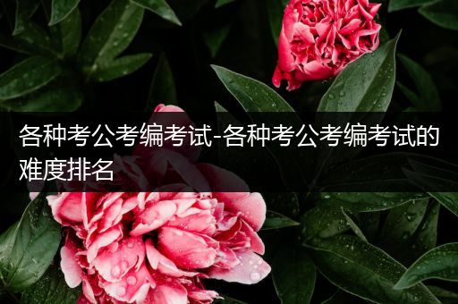 各种考公考编考试-各种考公考编考试的难度排名
