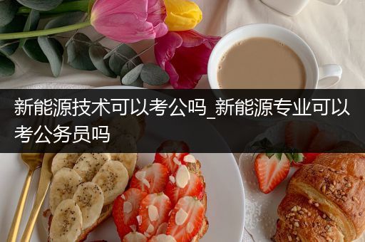 新能源技术可以考公吗_新能源专业可以考公务员吗