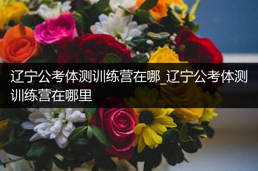 辽宁公考体测训练营在哪_辽宁公考体测训练营在哪里