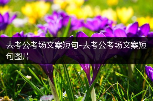 去考公考场文案短句-去考公考场文案短句图片