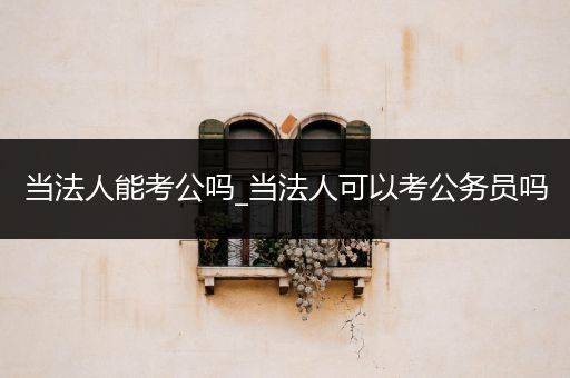 当法人能考公吗_当法人可以考公务员吗