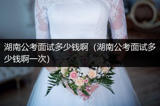 湖南公考面试多少钱啊（湖南公考面试多少钱啊一次）