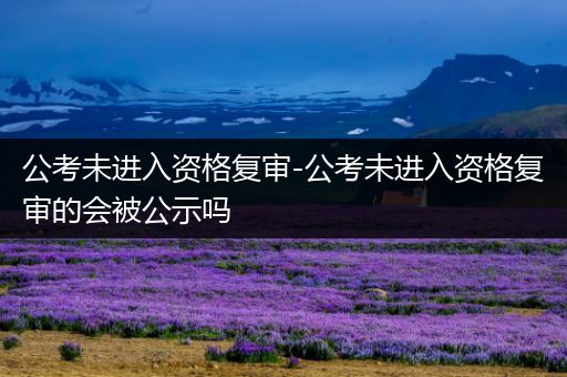公考未进入资格复审-公考未进入资格复审的会被公示吗