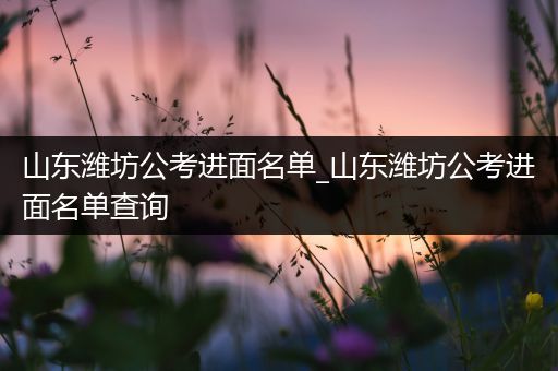 山东潍坊公考进面名单_山东潍坊公考进面名单查询