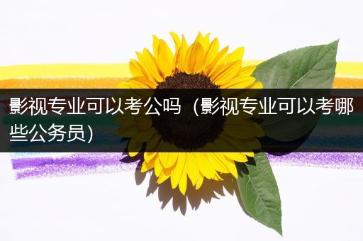 影视专业可以考公吗（影视专业可以考哪些公务员）