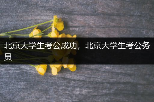 北京大学生考公成功，北京大学生考公务员