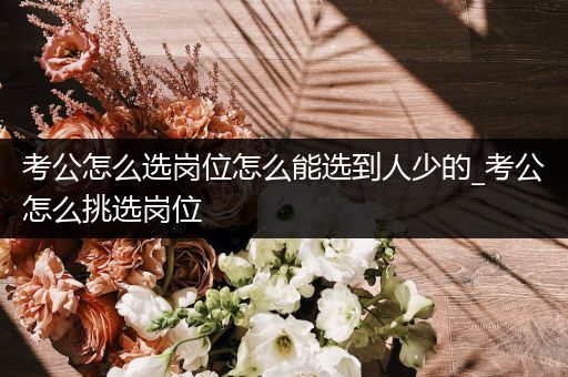考公怎么选岗位怎么能选到人少的_考公怎么挑选岗位