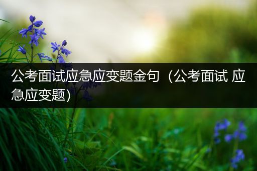 公考面试应急应变题金句（公考面试 应急应变题）