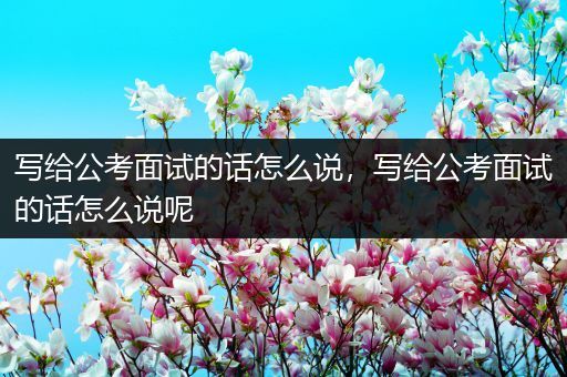 写给公考面试的话怎么说，写给公考面试的话怎么说呢