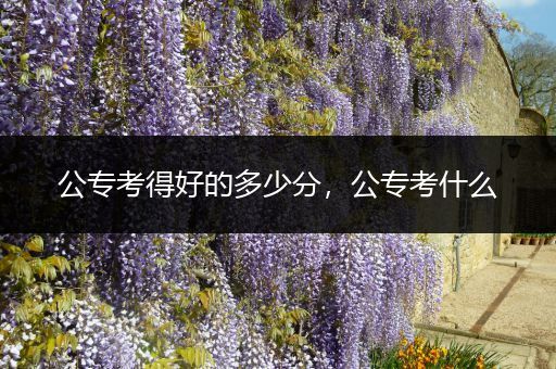 公专考得好的多少分，公专考什么