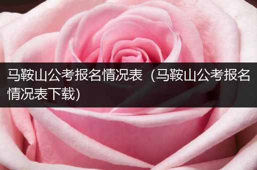 马鞍山公考报名情况表（马鞍山公考报名情况表下载）